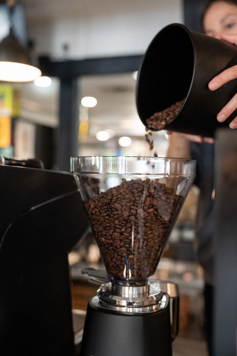 Person pouring coffee beans into a grinder with a blurred background